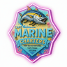 Cape Marine Charters